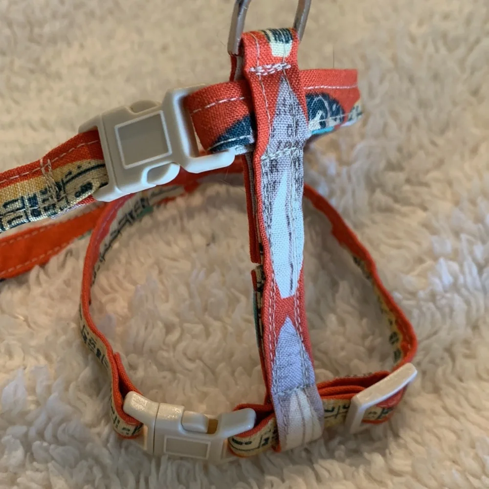 Small Cat Harness Surfboard and leash